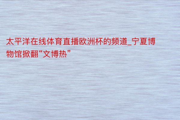 太平洋在线体育直播欧洲杯的频道_宁夏博物馆掀翻“文博热”